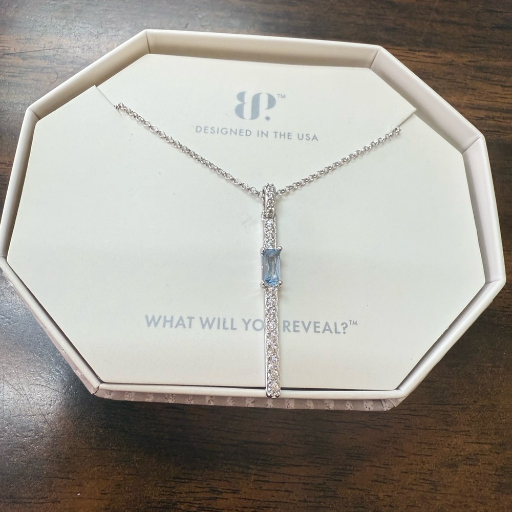 Sterling Club necklace